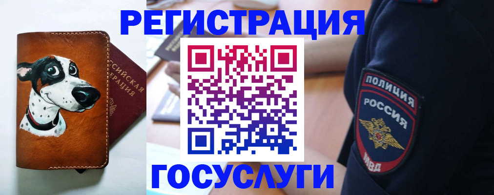 временная регистрация в квартире в Алтайском крае